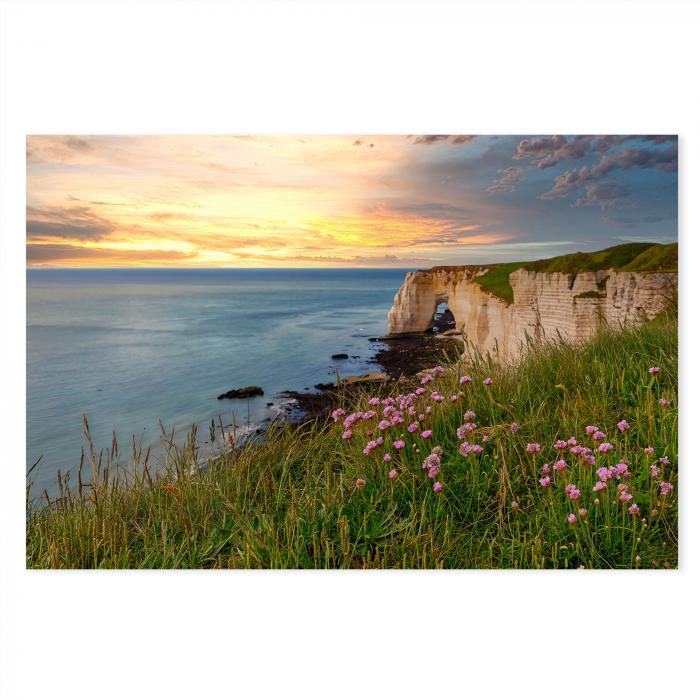 Sonnenuntergang, Steilküste von Étretat, Felsenbogen "Porte d'Aval", rosa Blüten.