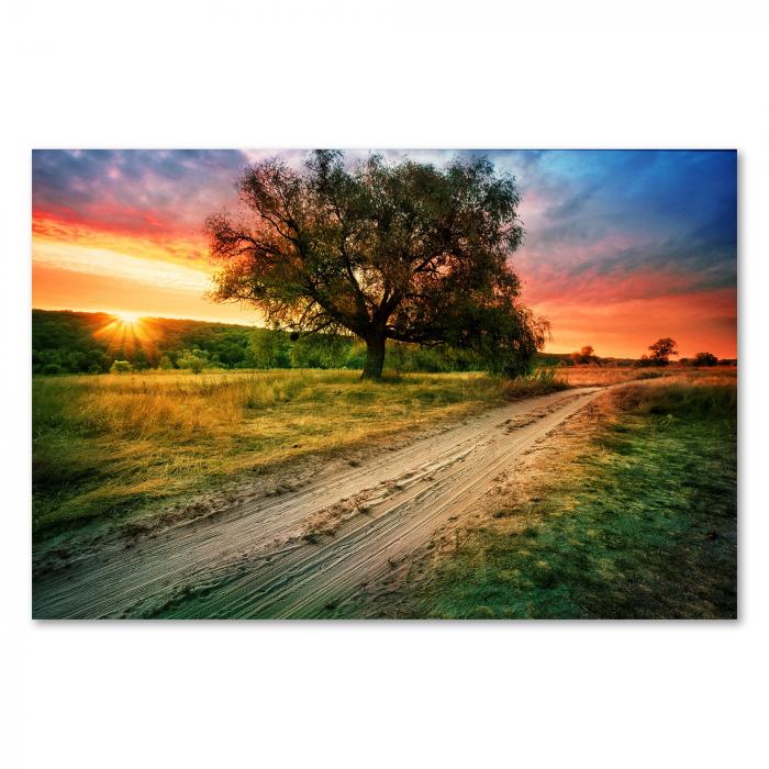 Feldweg durch grüne Landschaft, Sonnenuntergang am Horizont, Baum.