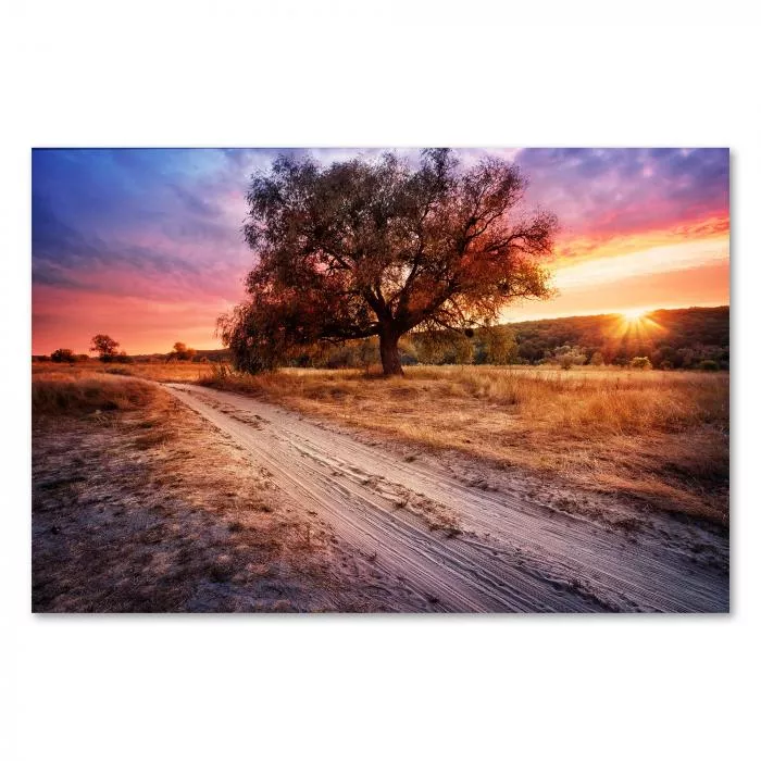 Sandiger Weg, Herbstlandschaft, Baum, Sonnenuntergang.