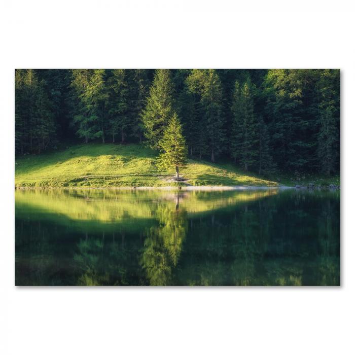 Einsamer Baum am Ufer, Spiegelung im Bergsee, grüne Wälder, friedliche Stimmung.