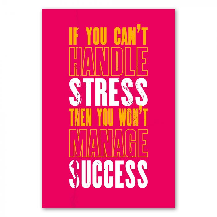 "If you can't handle stress, then you won't manage success" - Erfolg erfordert die Fähigkeit, mit Stress umzugehen.