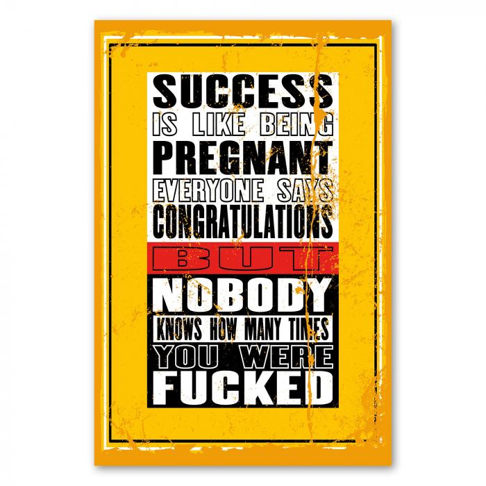 „Success Is Like Being Pregnant...“ – humorvolles Poster zeigt Realität des Erfolgs.