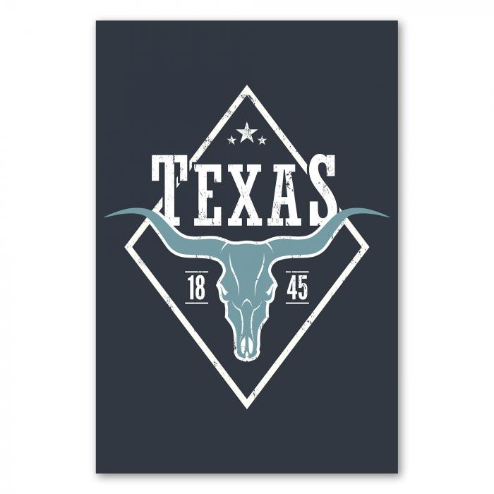 Rustikales Texas Logo im Vintage-Stil: Longhorn-Schädel, Diamant, Zahlen 18 & 45.