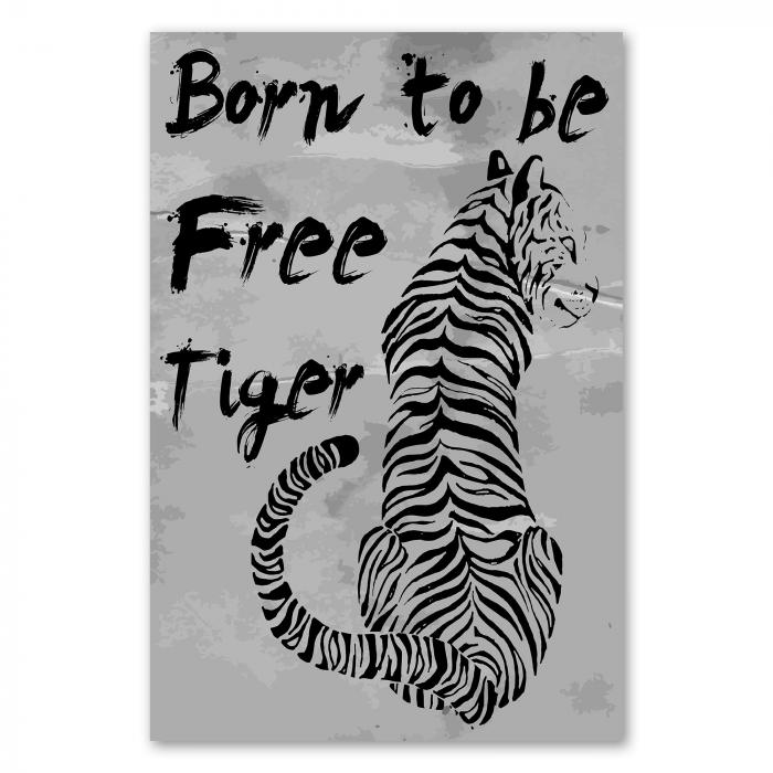 Ein kraftvoller Tiger in schwarzem Design auf grauem Hintergrund. Darunter steht der Spruch "Born to be Free Tiger".