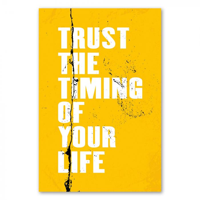 "Trust The Timing of Your Life" – ein motivierendes Poster, das daran erinnert, dass alles seinen eigenen Zeitpunkt hat.