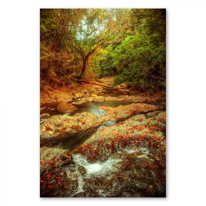 Ein idyllischer Bach schlängelt sich durch einen grünen Wald, bunte Blätter bedecken die Steine am Ufer.