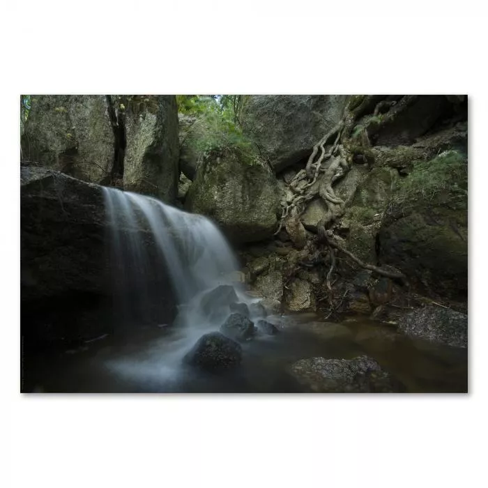 Kleiner Wasserfall plätschert über moosbewachsene Felsen in einem üppigen Wald, eine mystische Atmosphäre.