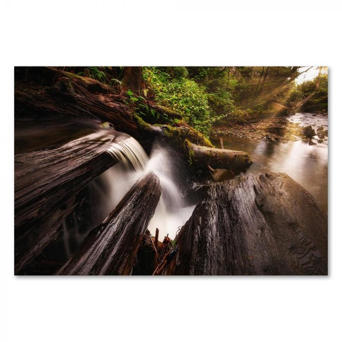 Kleiner Wasserfall, bemooste Baumstämme, Wald, Sonnenstrahlen, magisches Licht.