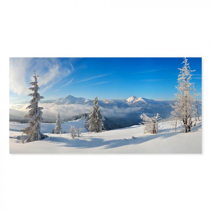 Winterlandschaft: Schneebedeckte Tannen, Berge & Täler, Nebel, Sonnenschein.