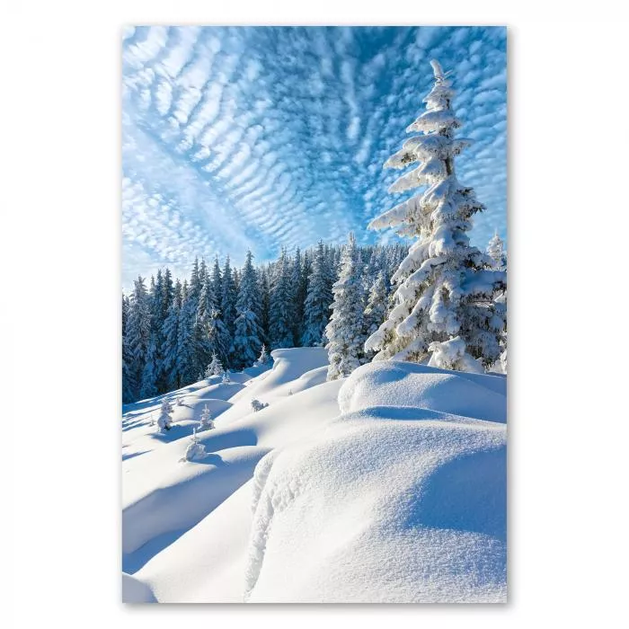 Winterlandschaft: Schneebedeckte Tannen, blauer Himmel, glitzernder Schnee.