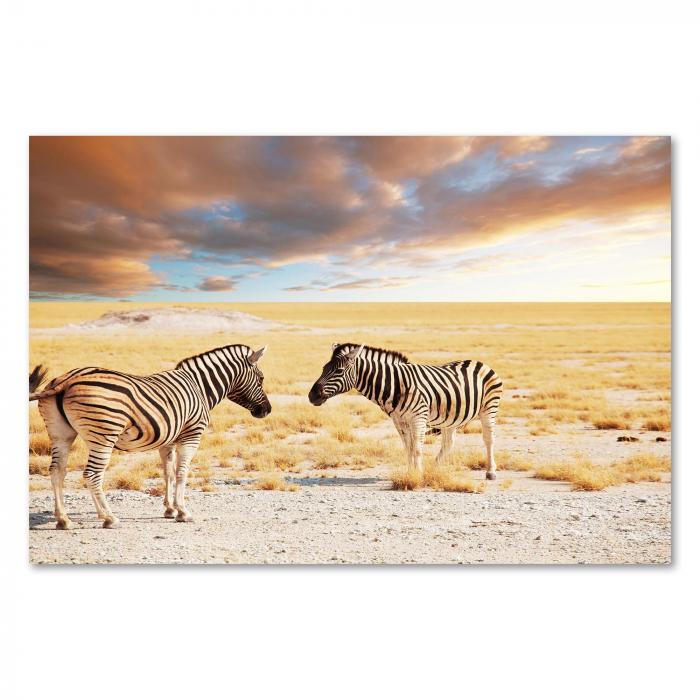 Zwei Zebras stehen sich in der Savanne gegenüber, im Hintergrund ein dramatischer Sonnenuntergang.