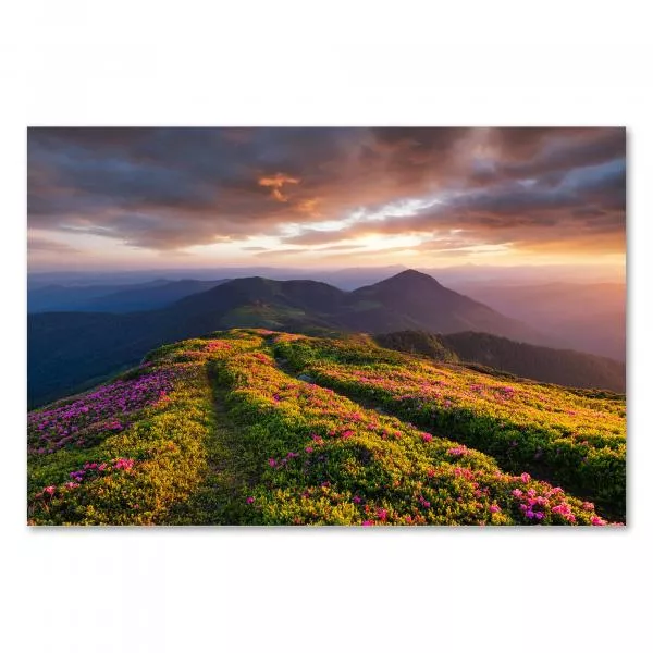 Wanderweg durch Alpenrosen, Berggipfel im Sonnenuntergang, warmes Licht.