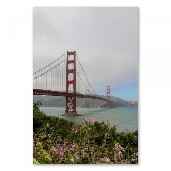 Die Golden Gate Bridge mit rosafarbenen Blumen im Vordergrund - ein Postkartenmotiv zum Verlieben.