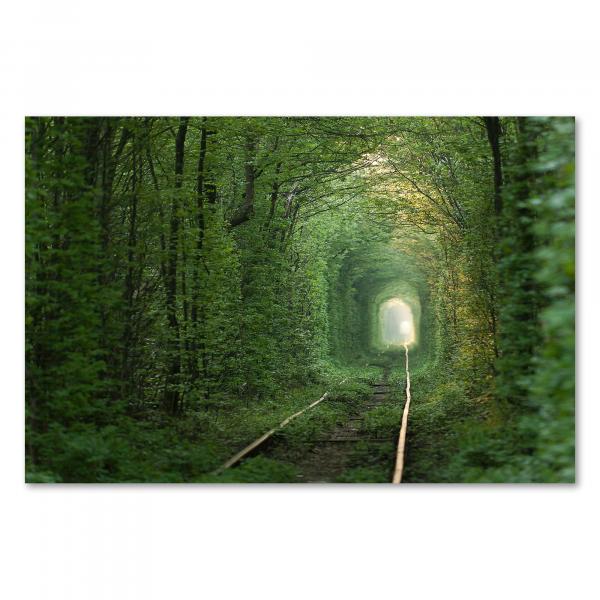 Eisenbahntunnel in der Ukraine, bedeckt von Grüna, schafft eine magische Atmosphäre.