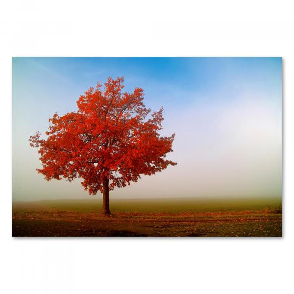 Baum mit roten Blättern in nebligem Feld, warme Herbstfarben, mystische Atmosphäre.