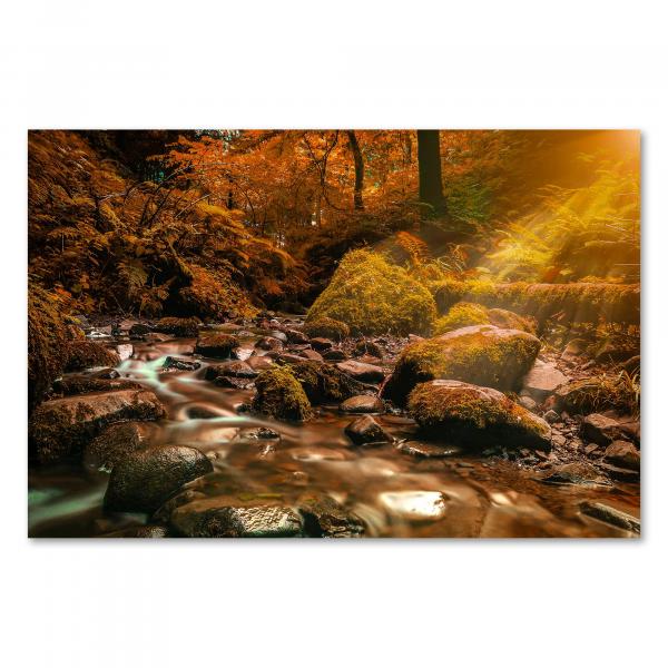 Bach, herbstlicher Wald, Sonnenstrahlen durch Blätterdach, goldenes Licht.