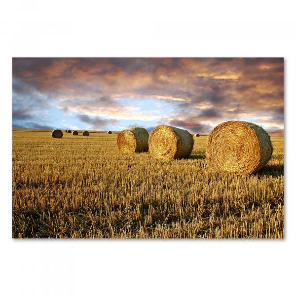 Runde Heuballen auf goldenem Feld, dramatische Wolkenformationen bei Sonnenuntergang.