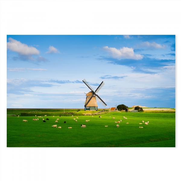 Windmühle, grüner Deich, Schafherde auf Wiese, blauer Himmel & Wolken.