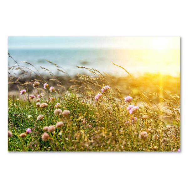 Sonnenuntergang an der Küste mit Gräsern und Blüten, die sich im Wind wiegen - ein romantisches Motiv.