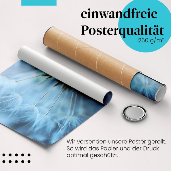 Gerolltes Poster "Pusteblume". Vergänglichkeit & Schönheit, sicher verpackt.