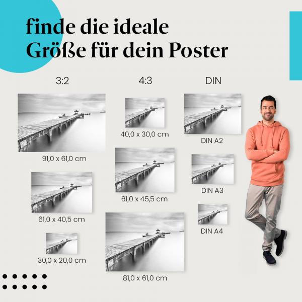 Steg Poster: Idyllische Landschaft!