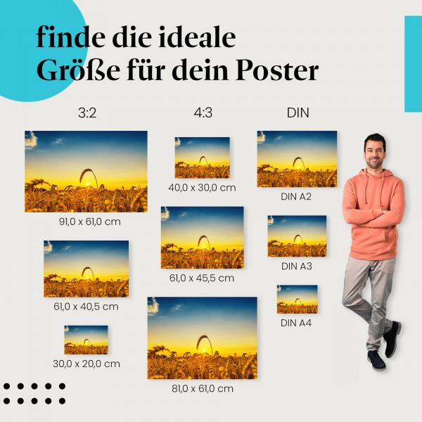 Weizenfeld, Poster: Halm, Sonne, gold.