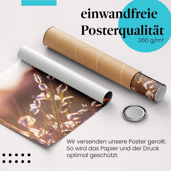 Gerolltes Poster "Samenkapseln". Natur & Details, sicher verpackt.