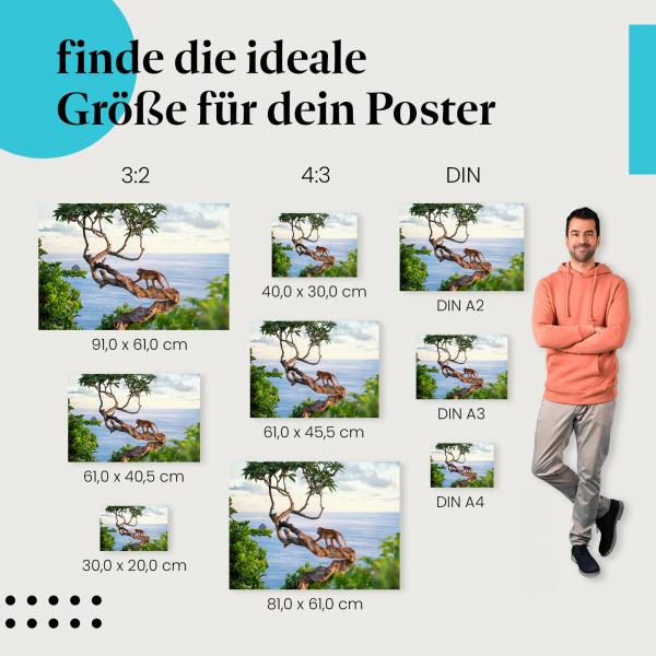 Affe, Poster: Ast, Meer, Sonnenuntergang.