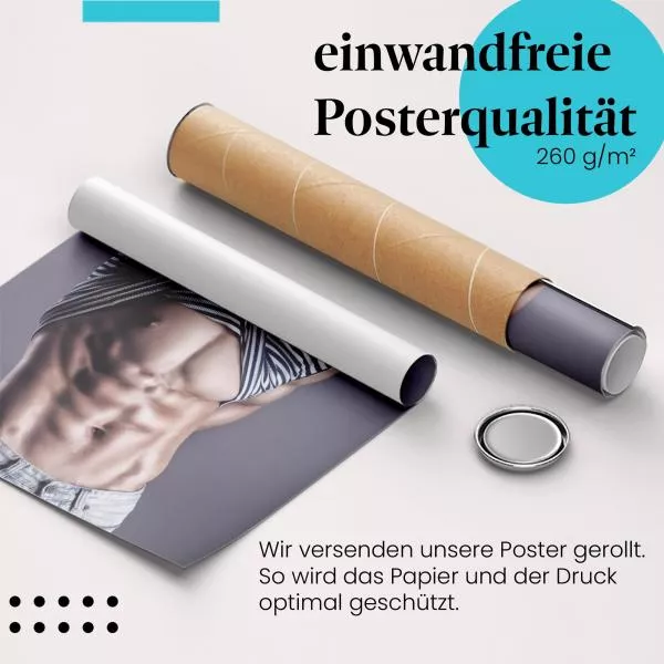 Sixpack | Postereck 3266