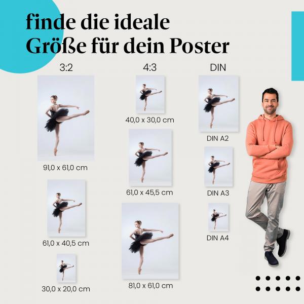 Ballerina, Poster: Schwarz, Tutu, kraftvoll.