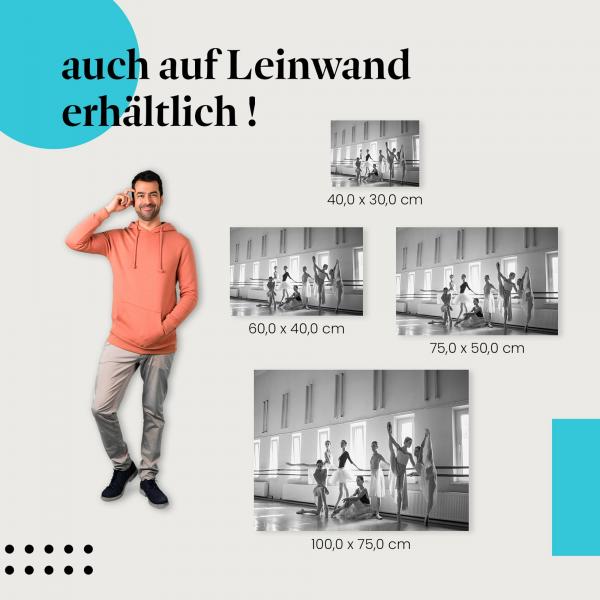 "Anmut und Disziplin" Leinwandbild: Ein eleganter Blickfang für dein Zuhause!