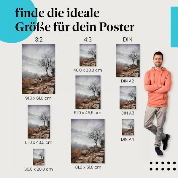 Finde die ideale Postergröße: Kahler Baum auf Felsen, bewölkter Himmel.