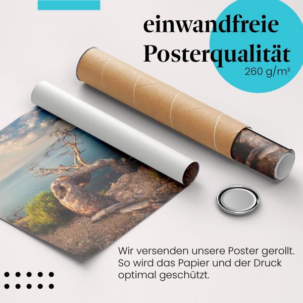 Gerolltes Poster "Steilküste & Baum". Mächtige Natur, sicher verpackt.