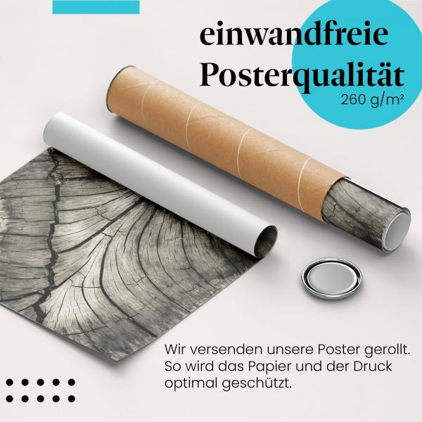 Gerolltes Poster "Baumstamm". Abstrakte Natur, sicher verpackt.