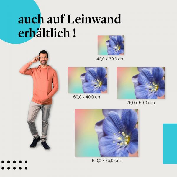 Blaue Blume: Leinwandbild. Makroaufnahme, zarte Strukturen. Wähle deine Größe!