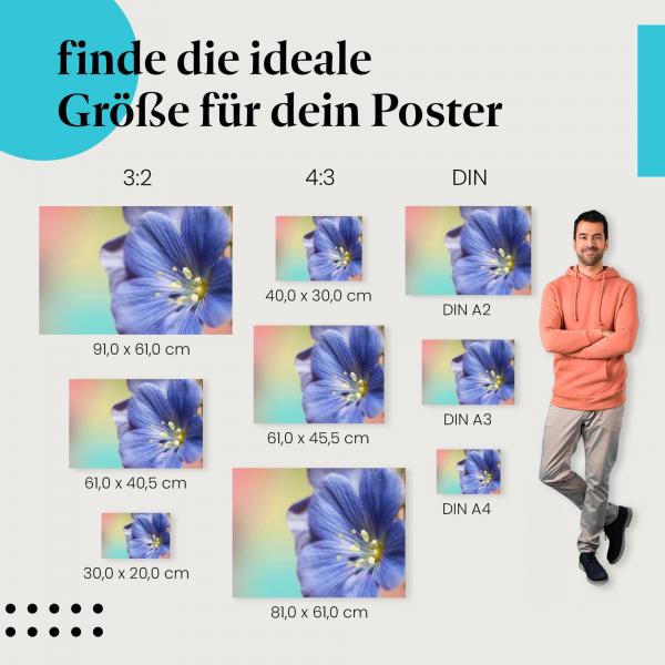 Entdecke die passende Postergröße: Blaue Blume, gelber Blütenstaub, pastellfarben.