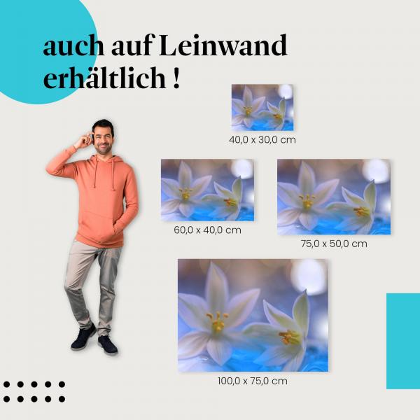 Blumen: Leinwandbild. Weiß, blau, friedlich, wähle deine Größe!