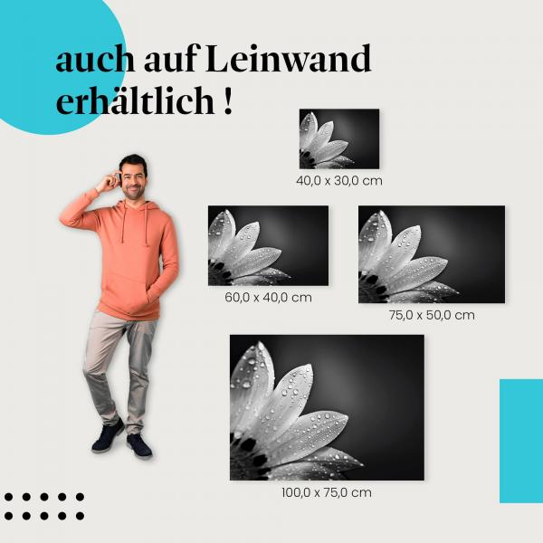 Leinwandbild "Elegante Blume": Schönheit & Eleganz in Schwarz-Weiß