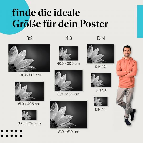 "Elegante Blume mit Regentropfen": Poster - Makro & grafische Formen