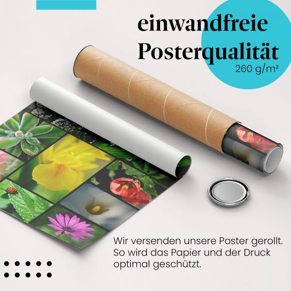 Gerolltes Poster "Gartenleben". Makroaufnahmen aus der Natur, sicher verpackt.