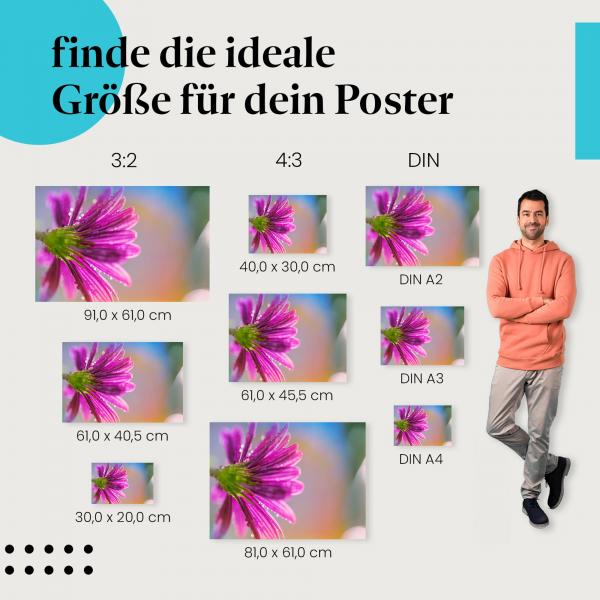 Zarte Schönheit: Poster "Lila Blüte mit Tautropfen" - Glitzernde Tropfen