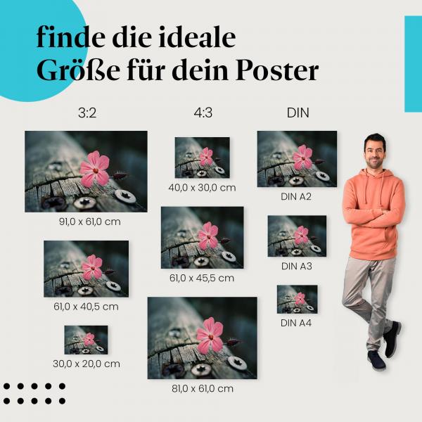 Entdecke die passende Postergröße: Rosa Blume, Holzbalken, Schönheit der Natur.