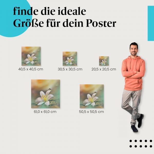 Blume, Poster: Makroaufnahme, Wassertropfen, warme Farben, traumhaft.