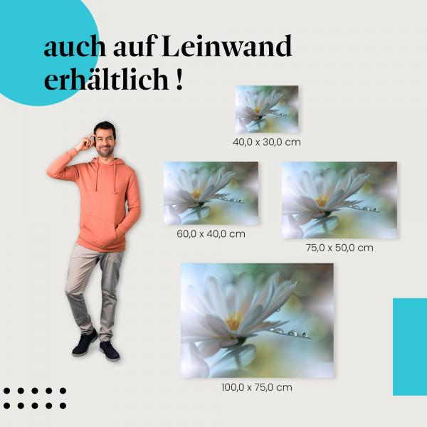 Blüte: Leinwandbild. Weiß, Makro, Tautropfen, romantisch.