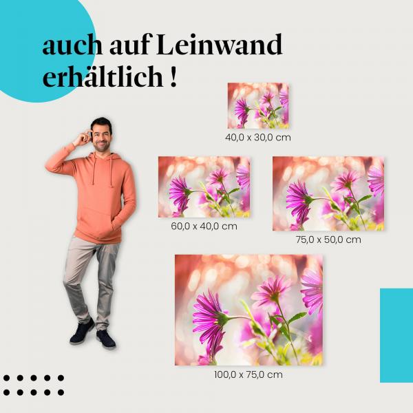 Leinwandbild "Zarte Eleganz": Blumen & Schönheit