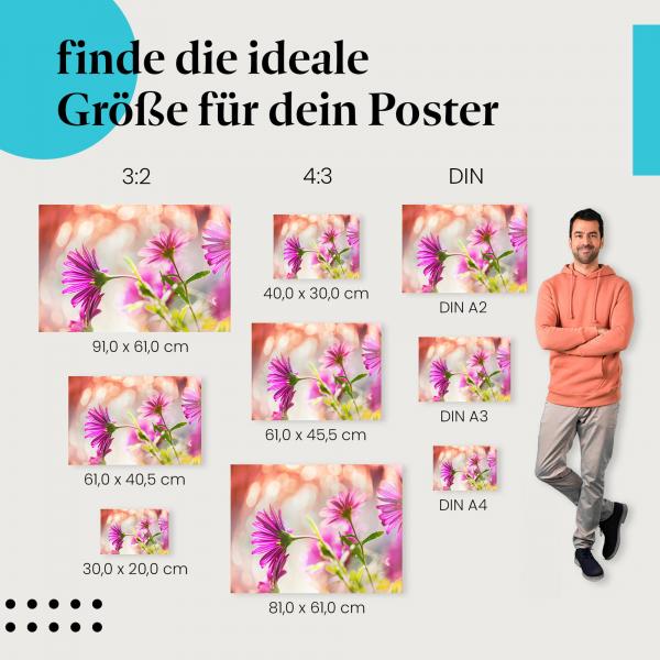 Romantische Stimmung: Poster "Zarte Eleganz" - Pinke Blumen & warmes Licht