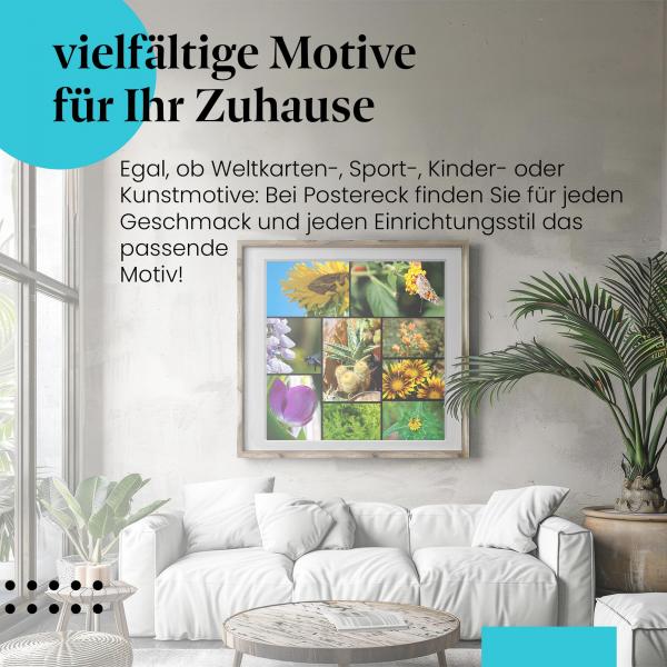 "Blumen & Insekten": Poster "Collage" - farbenfrohe Natur!