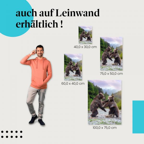 Braunbären: Leinwandbild. Kampf, Wildnis, wähle deine Größe!