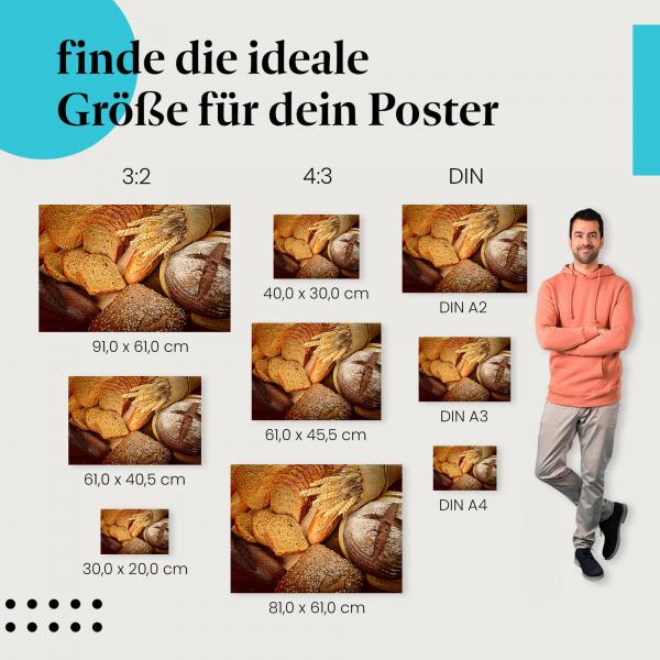 Brot, Poster: Vollkorn, Baguette, Brötchen, Weizenähren.