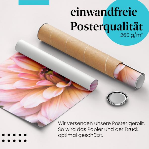 Gerolltes Poster "Dahlienblüte" - Elegante Blume, sicher verpackt.